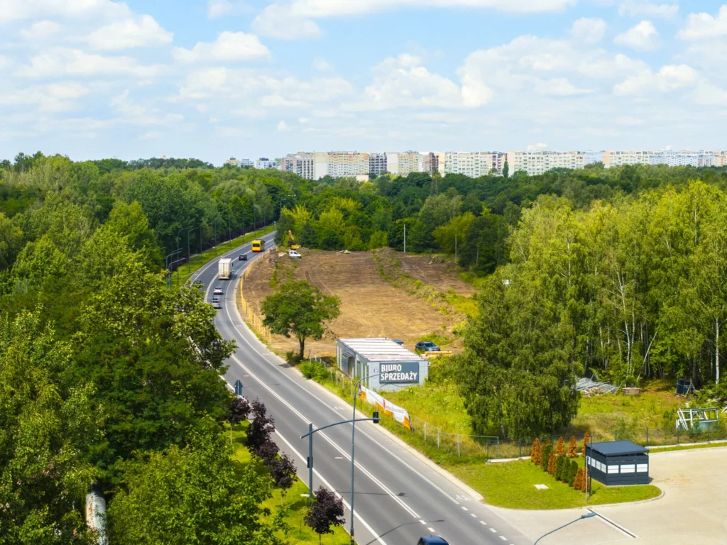 Prace porządkowe na działce